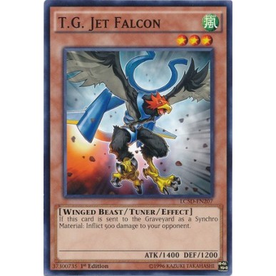 T.G. Falco Jet