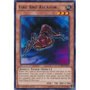 Formica di Fuoco Ascator