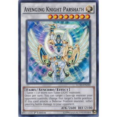 Parshath Cavaliere Vendicatore
