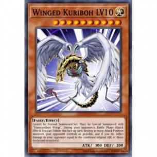 Winged Kuriboh LV10