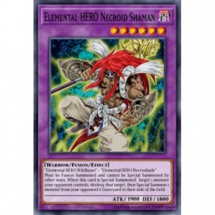 Necroid-Sciamano EROE...