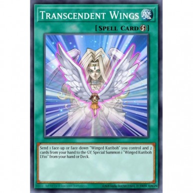 Transcendent Wings