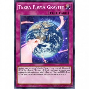 Terra Firma Gravity