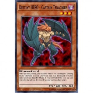 Destiny HERO - Captain...