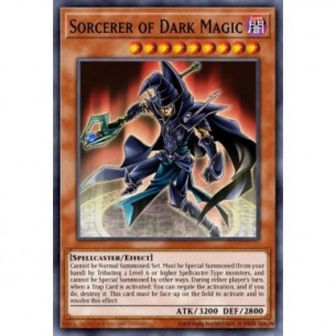 Sorcerer of Dark Magic