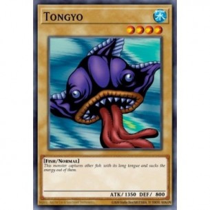 Tongyo (V.2 - Common)