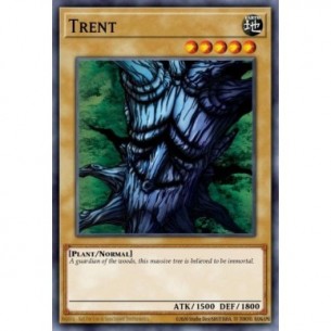 Trent (V.2 - Common)