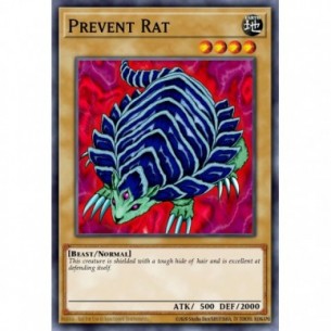 Prevent Rat (V.2 - Common)