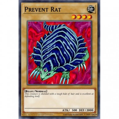 Prevent Rat (V.2 - Common)
