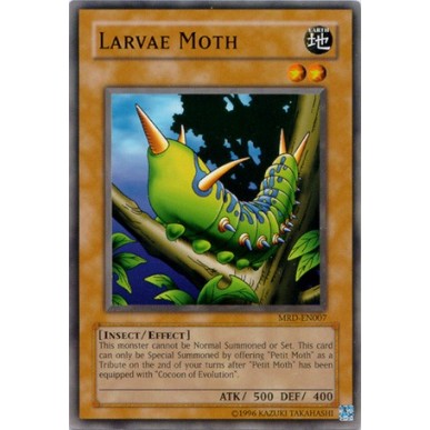 Larvae Moth (V.3 - Common)