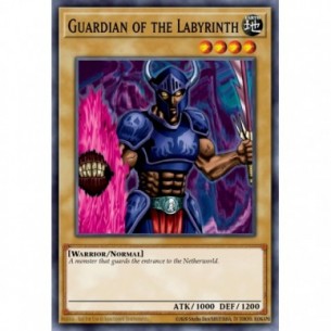 Guardia del Labirinto (V.3...