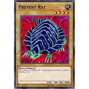 Prevent Rat (V.3 - Common)