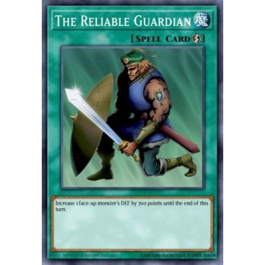 The Reliable Guardian (V.1 - Common)