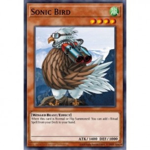 Sonic Bird (V.2 - Common)