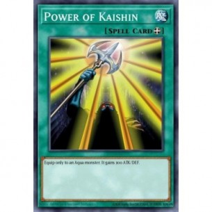 Power of Kaishin