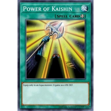 Power of Kaishin