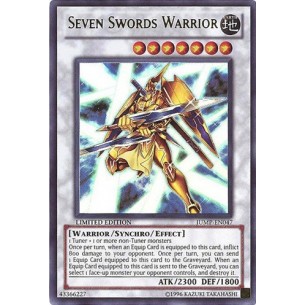 Seven Swords Warrior