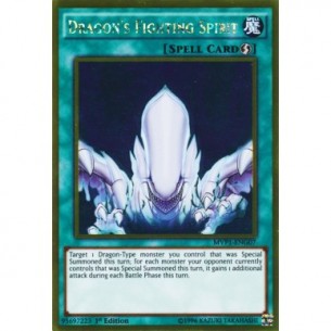 Dragon's Fighting Spirit...
