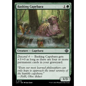 Basking Capybara