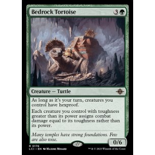 Bedrock Tortoise