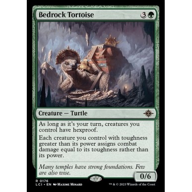 Bedrock Tortoise