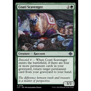 Coati Scavenger