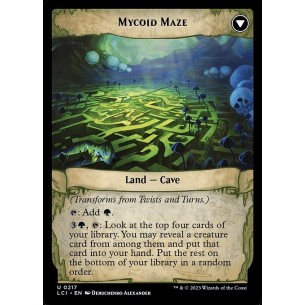 Twists and Turns // Mycoid... 2