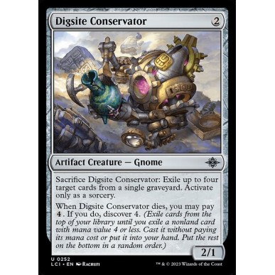Digsite Conservator