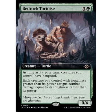 Bedrock Tortoise