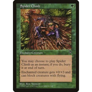 Spider Climb