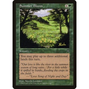 Summer Bloom