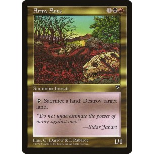 Army Ants
