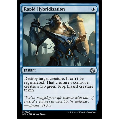 Rapid Hybridization