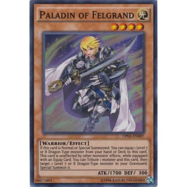 Paladin of Felgrand