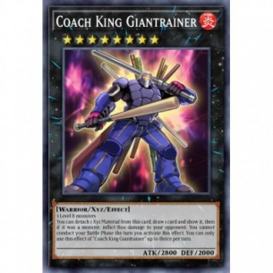 Coach King Giantrainer