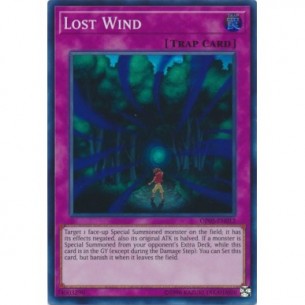 Lost Wind