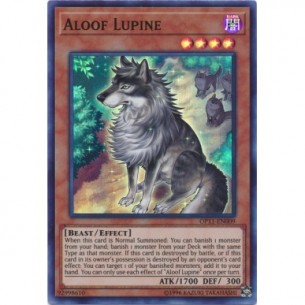 Lupino Distaccato