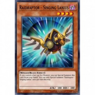 Raidraptor - Lanius Canterino