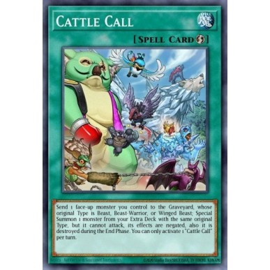 Cattle Call
