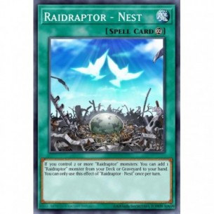 Raidraptor - Nest