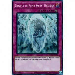 Grave of the Super Ancient...