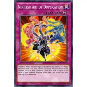 Ninjitsu Art of Duplication