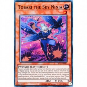 Tobari the Sky Ninja