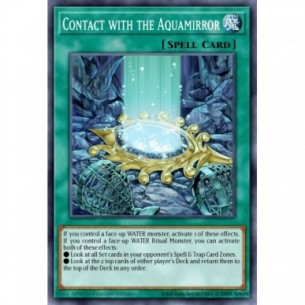 Contact with the Aquamirror