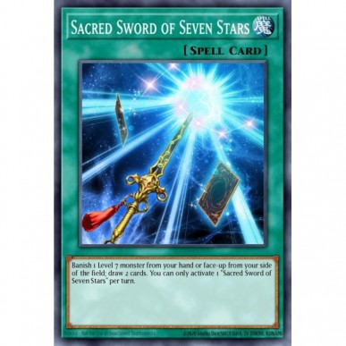 Sacred Sword of Seven Stars