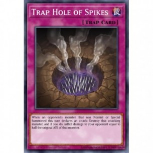 Trap Hole of Spikes