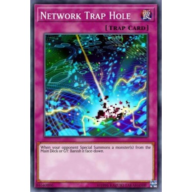 Network Trap Hole