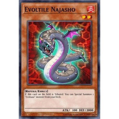 Evoltile Najasho