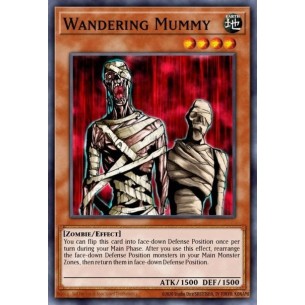 Mummia Errante