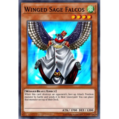 Saggio Falco Alato